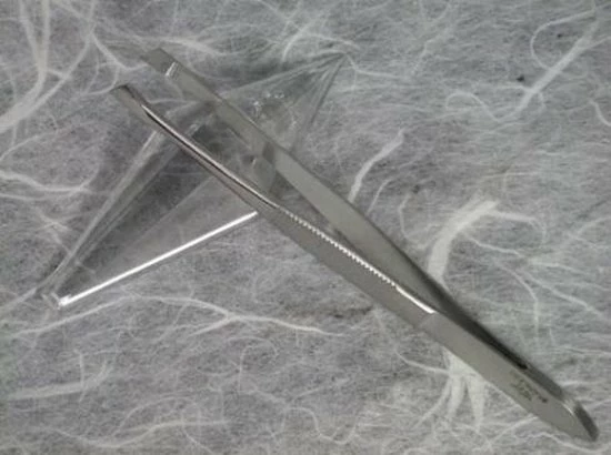 Adola Epileer Pincet Schuin - 9 Cm - RVS 1 Adola Epileer Pincet Schuin - 9 Cm - RVS